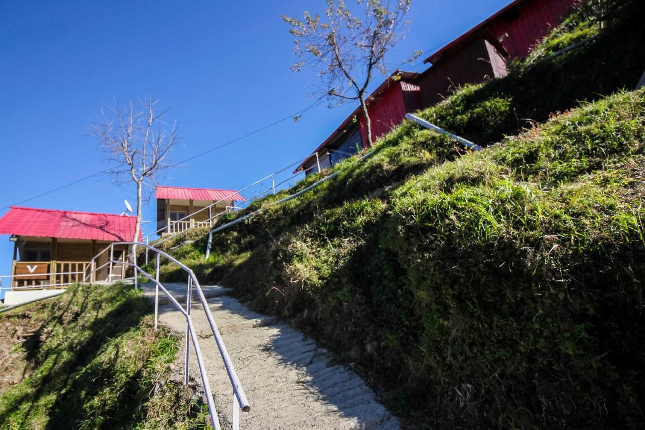 Glamwood Resort Dhanaulti, Ranked 1 In 达纳尔蒂 外观 照片